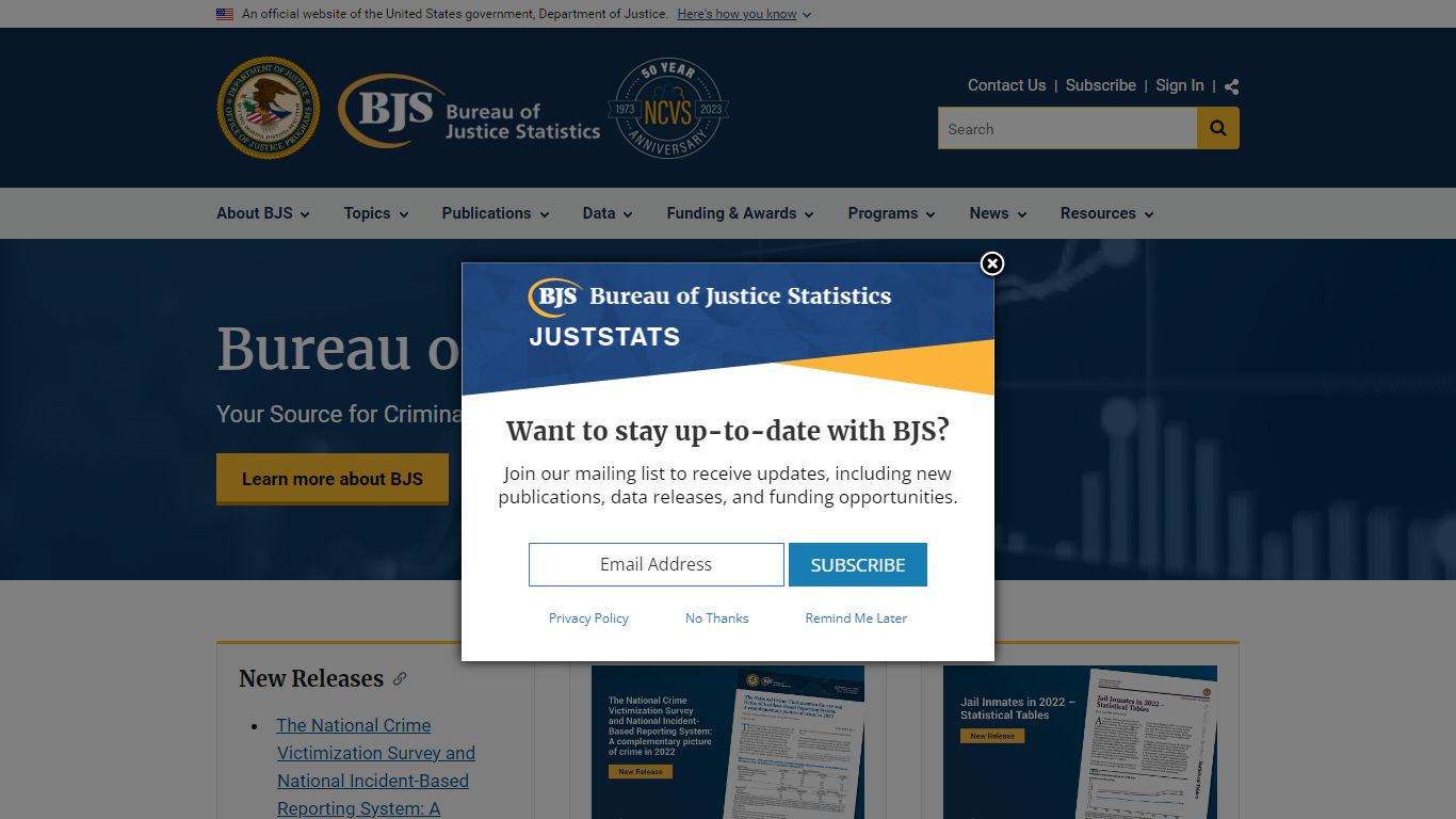 Search Publications | Bureau of Justice Statistics